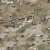 Multicam®