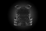 4M RAIDER Plate carrier